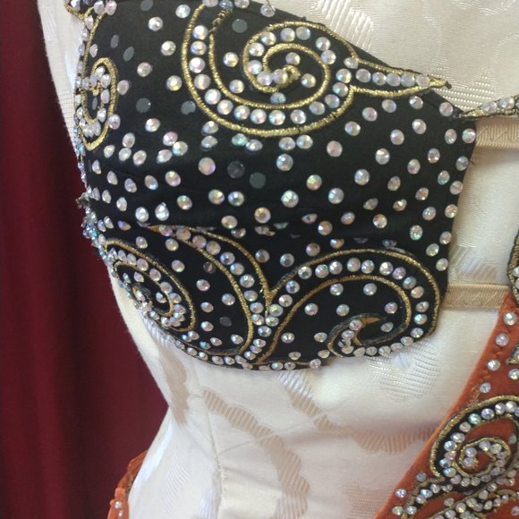 Professional Latin Dress - Picture 5 of 6